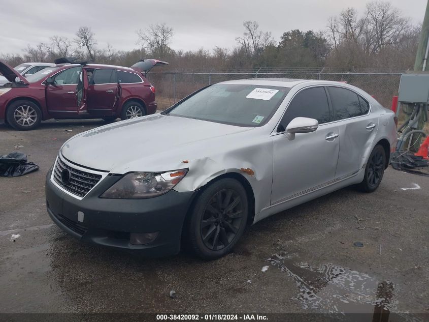 JTHCL5EF5B5010297 | 2011 LEXUS LS 460