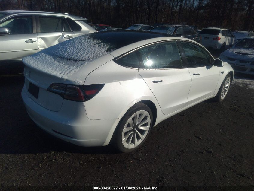 5YJ3E1EAXPF452071 | 2023 TESLA MODEL 3