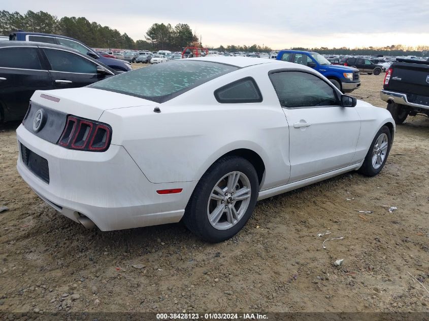 2014 FORD MUSTANG V6 - 1ZVBP8AM2E5275896