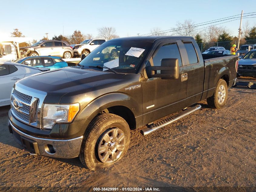 1FTFX1ET8BFA92702 | 2011 FORD F-150