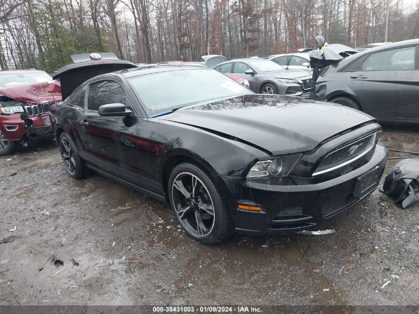 2013 FORD MUSTANG V6 - 1ZVBP8AM0D5274129