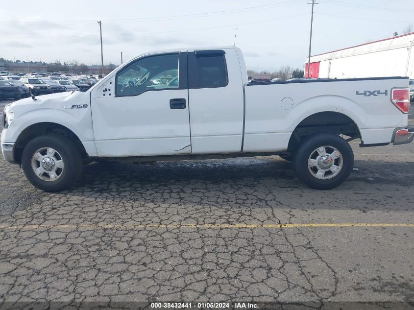 2013 FORD F-150 XLT - 1FTFX1EF5DKD66880