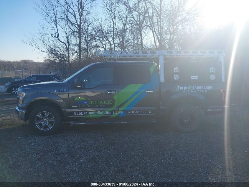 2015 FORD F-150 XLT - 1FTEW1EGXFFA83992