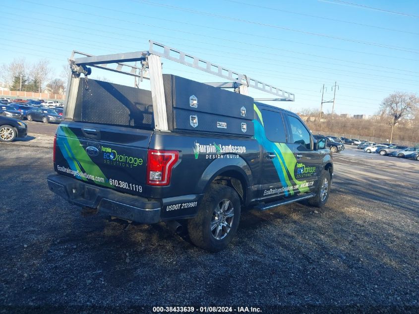 2015 FORD F-150 XLT - 1FTEW1EGXFFA83992