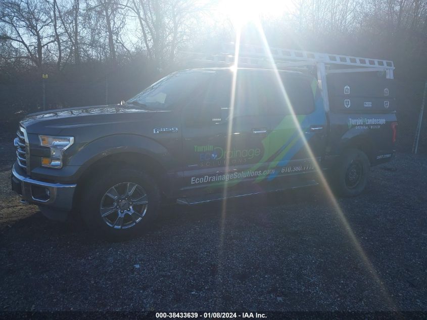 2015 FORD F-150 XLT - 1FTEW1EGXFFA83992