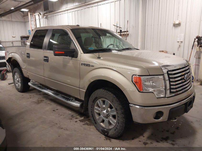 1FTFW1EV2AFC28597 | 2010 FORD F-150