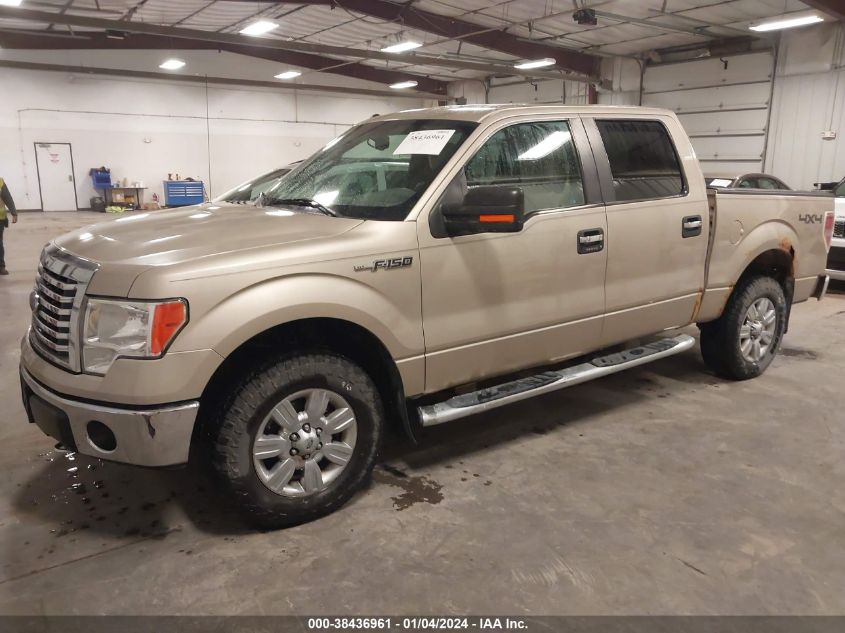 1FTFW1EV2AFC28597 | 2010 FORD F-150