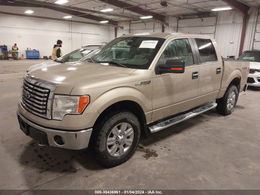 1FTFW1EV2AFC28597 | 2010 FORD F-150