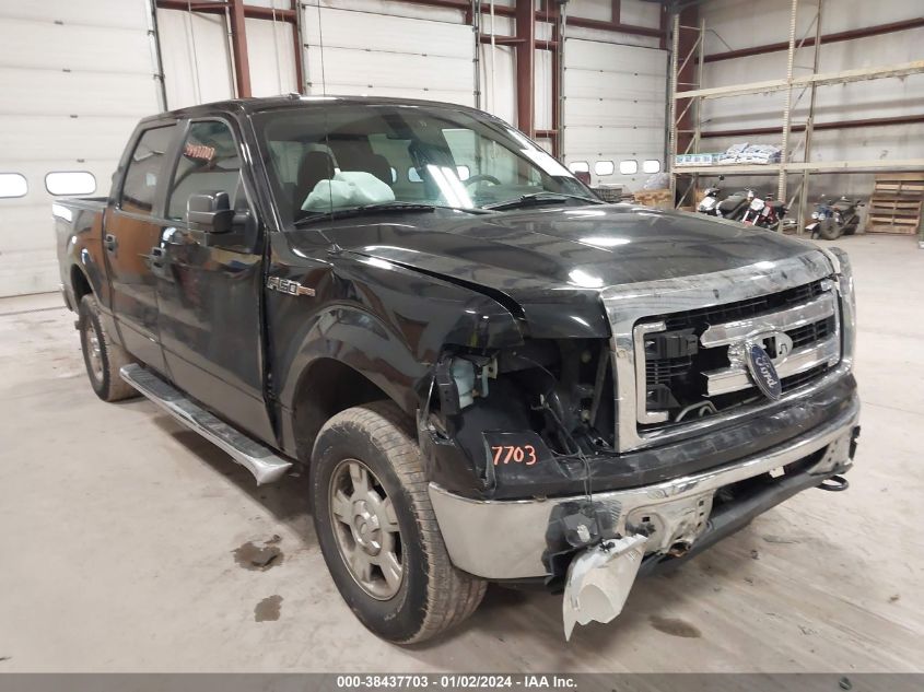 2013 FORD F-150 XLT - 1FTFW1EF3DFD05507