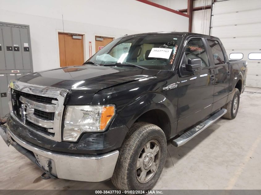 2013 FORD F-150 XLT - 1FTFW1EF3DFD05507