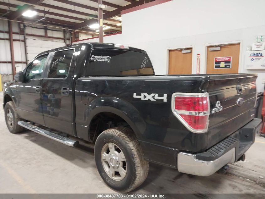 2013 FORD F-150 XLT - 1FTFW1EF3DFD05507