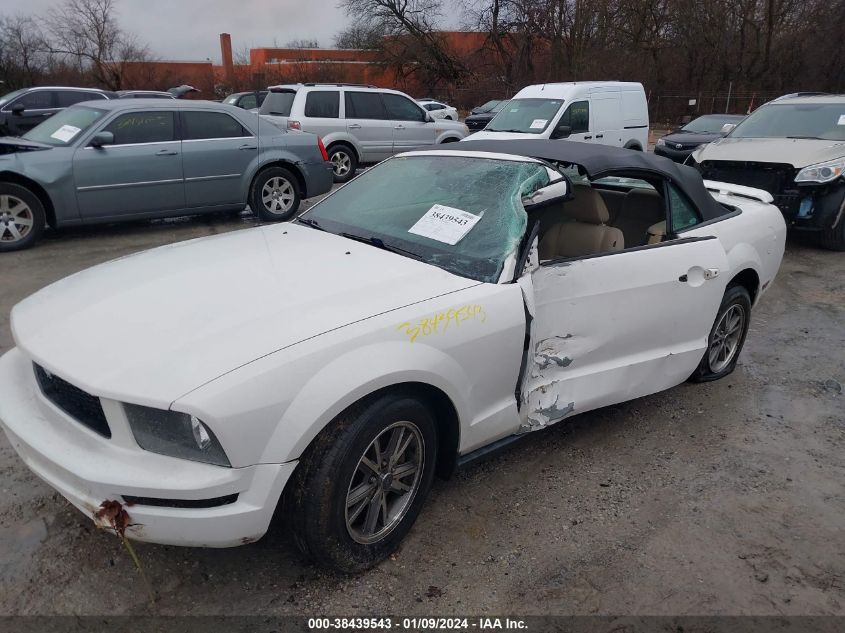 1ZVHT84N355234638 | 2005 FORD MUSTANG