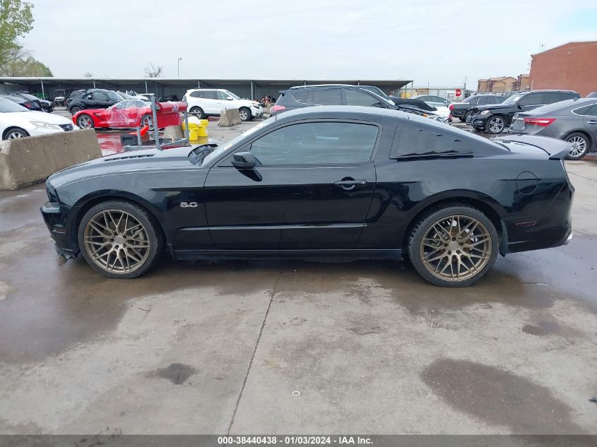 2013 FORD MUSTANG GT - 1ZVBP8CF5D5213826