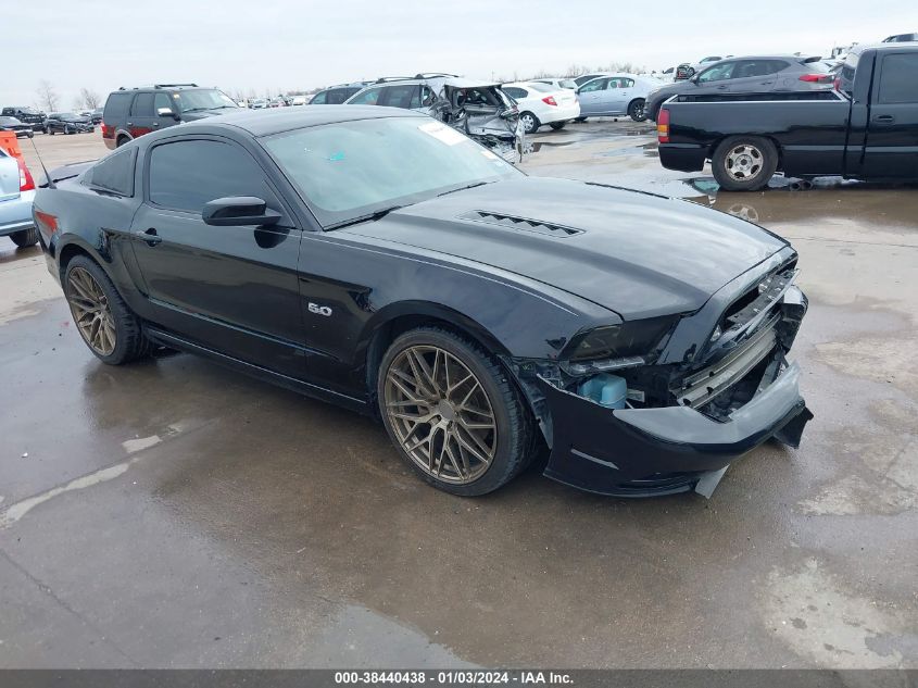 2013 FORD MUSTANG GT - 1ZVBP8CF5D5213826