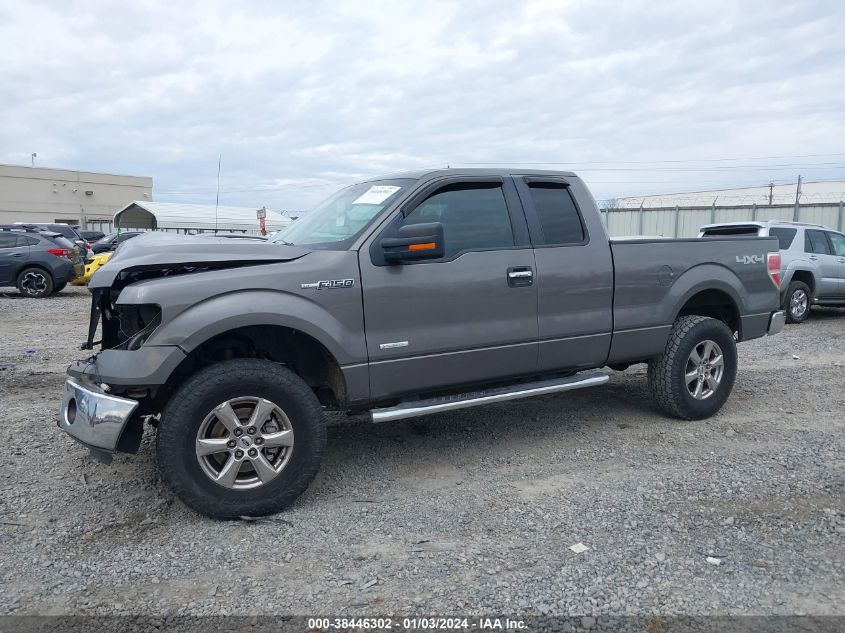 2013 FORD F-150 XLT - 1FTFX1ET6DFA12008