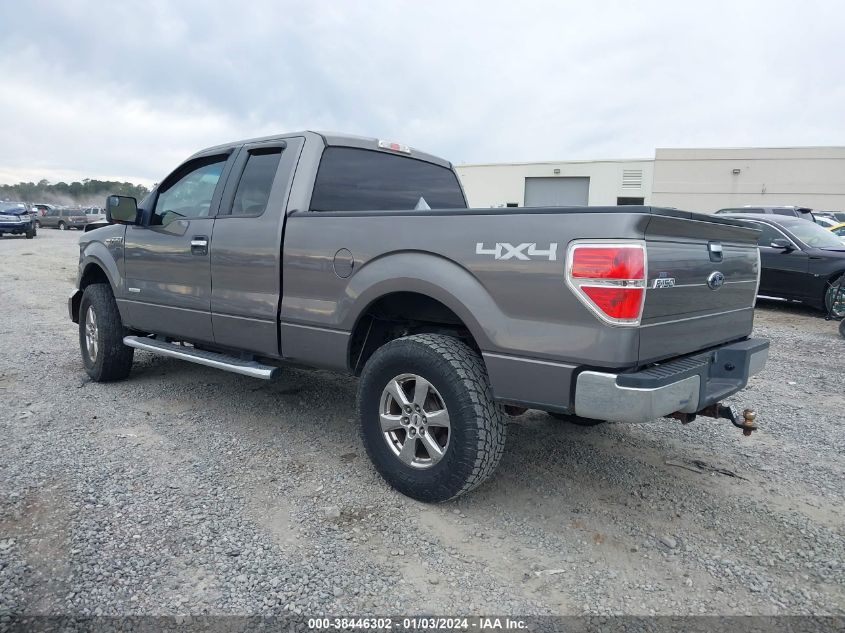 2013 FORD F-150 XLT - 1FTFX1ET6DFA12008