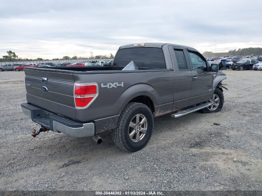 2013 FORD F-150 XLT - 1FTFX1ET6DFA12008