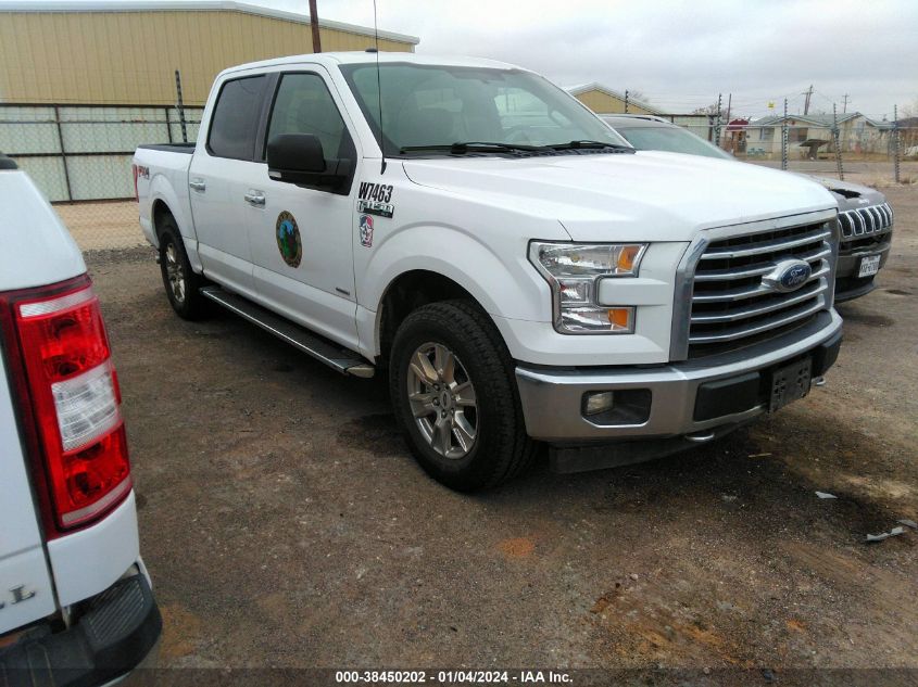 2017 FORD F-150 XLT - 1FTEW1EP3HKD57463