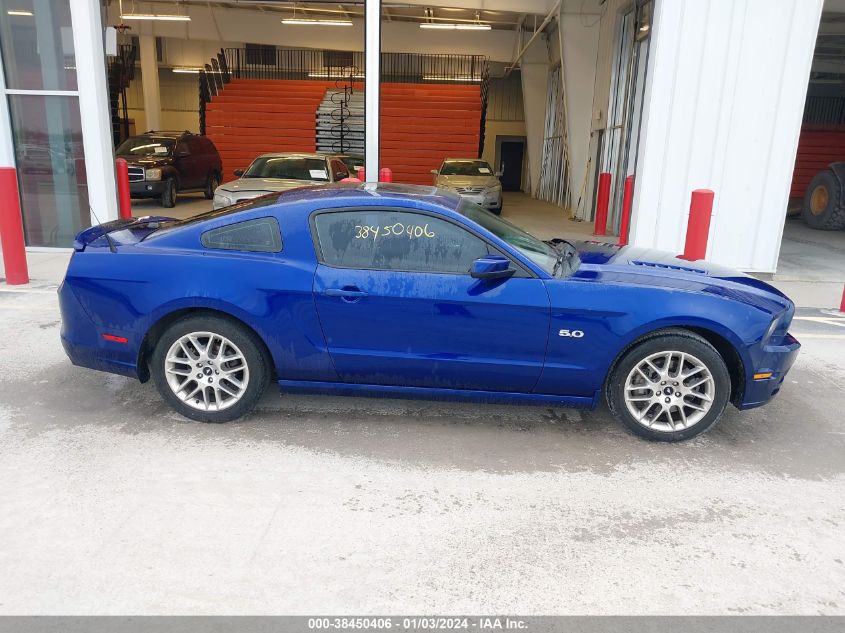 2013 FORD MUSTANG GT PREMIUM - 1ZVBP8CF9D5271521