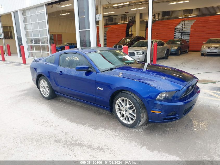 2013 FORD MUSTANG GT PREMIUM - 1ZVBP8CF9D5271521