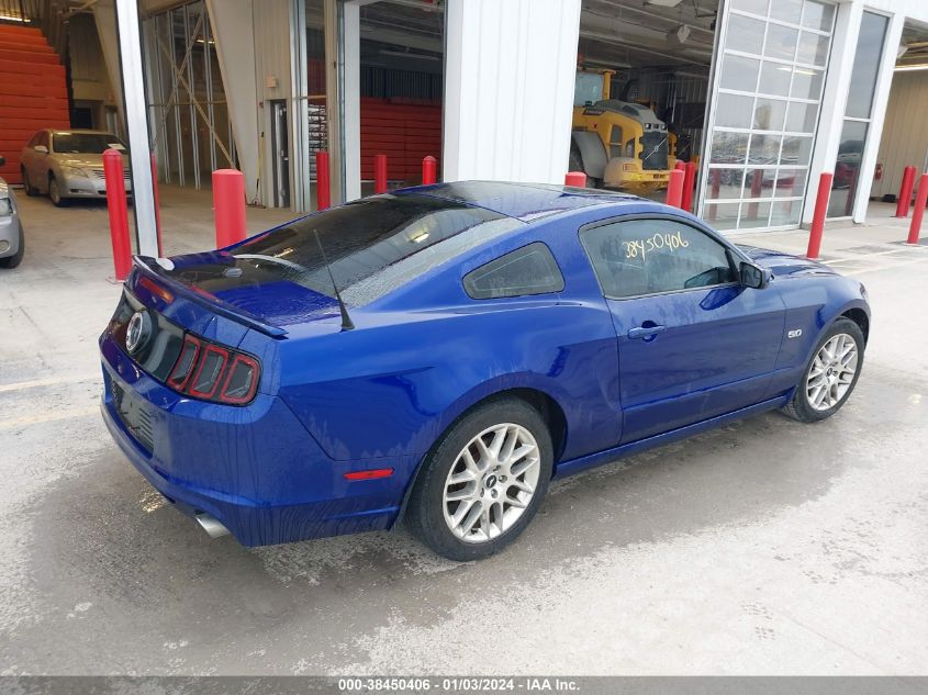 2013 FORD MUSTANG GT PREMIUM - 1ZVBP8CF9D5271521