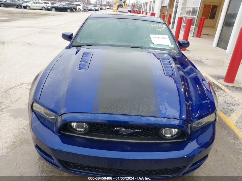 2013 FORD MUSTANG GT PREMIUM - 1ZVBP8CF9D5271521