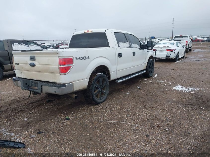 2014 FORD F-150 XLT - 1FTFW1ET7EKD82119