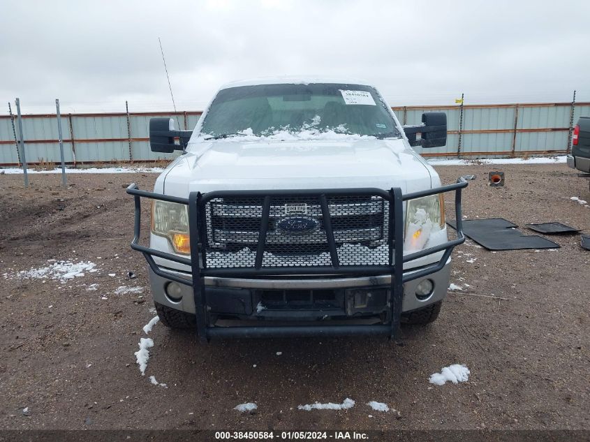2014 FORD F-150 XLT - 1FTFW1ET7EKD82119