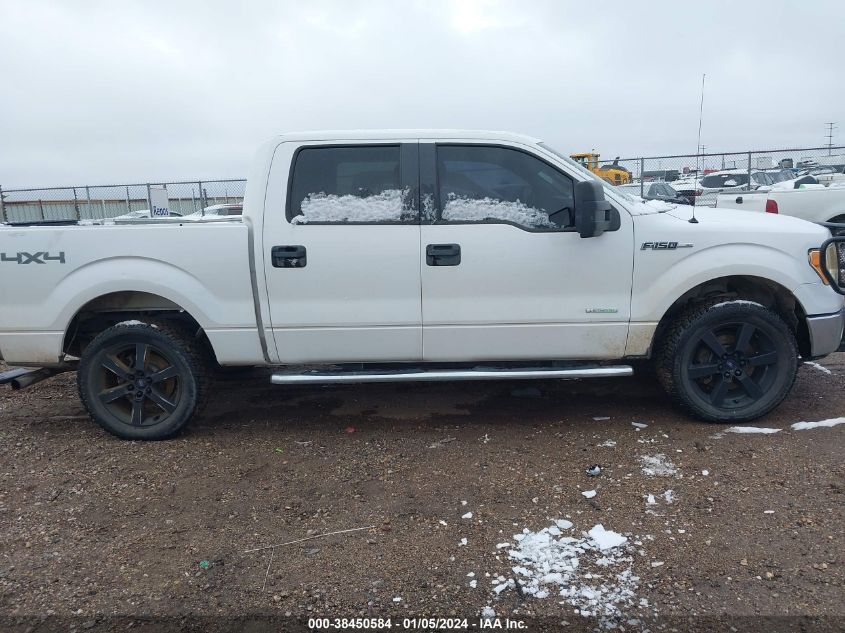 2014 FORD F-150 XLT - 1FTFW1ET7EKD82119