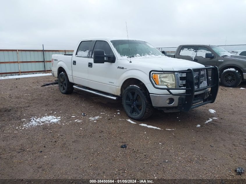 2014 FORD F-150 XLT - 1FTFW1ET7EKD82119