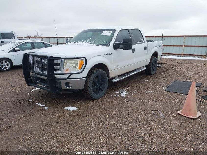 2014 FORD F-150 XLT - 1FTFW1ET7EKD82119