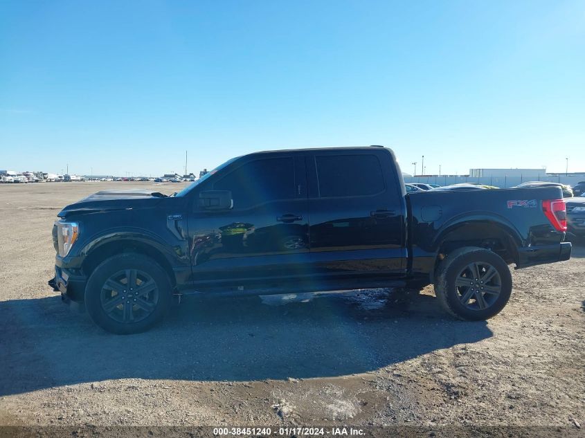 2023 FORD F-150 XLT - 1FTFW1E55PFB34111