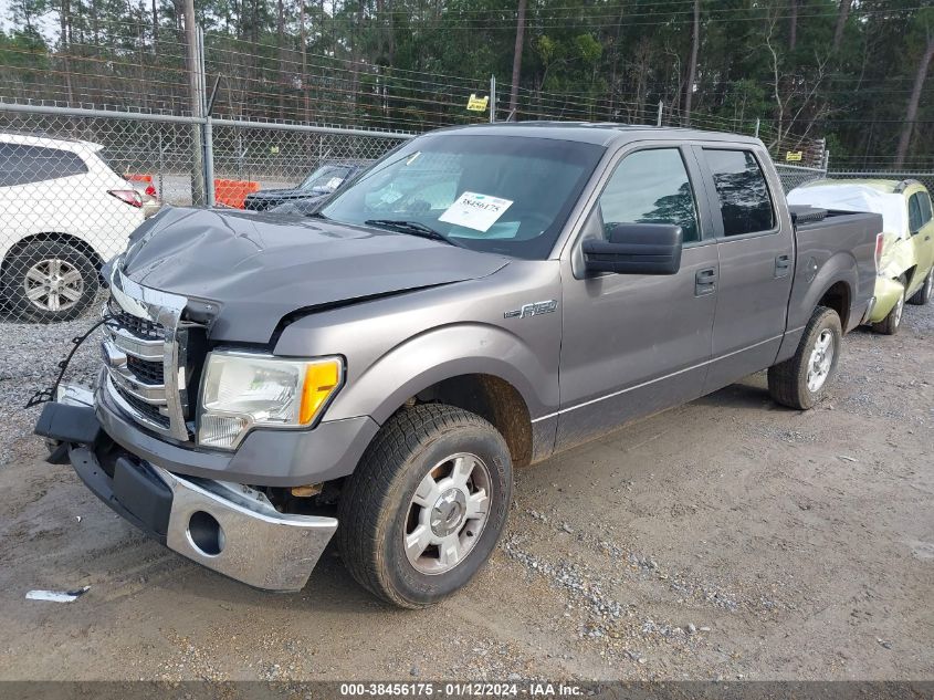 2014 FORD F-150 XLT - 1FTEW1CM8EFA18338