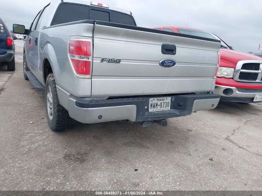 2013 FORD F-150 XLT - 1FTEW1CM8DKE19099