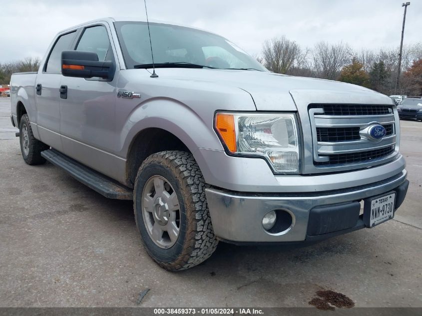 2013 FORD F-150 XLT - 1FTEW1CM8DKE19099