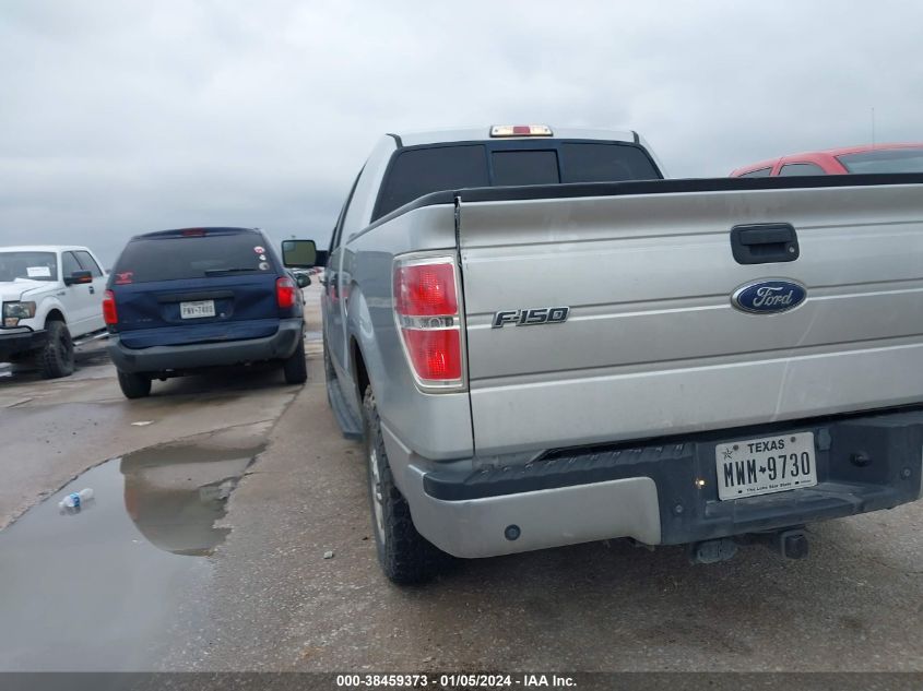 2013 FORD F-150 XLT - 1FTEW1CM8DKE19099