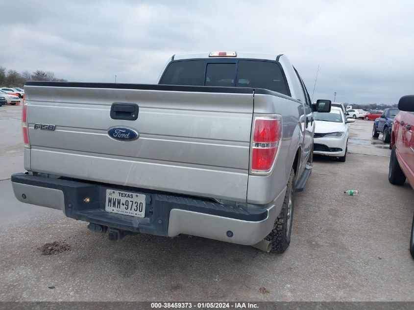 2013 FORD F-150 XLT - 1FTEW1CM8DKE19099