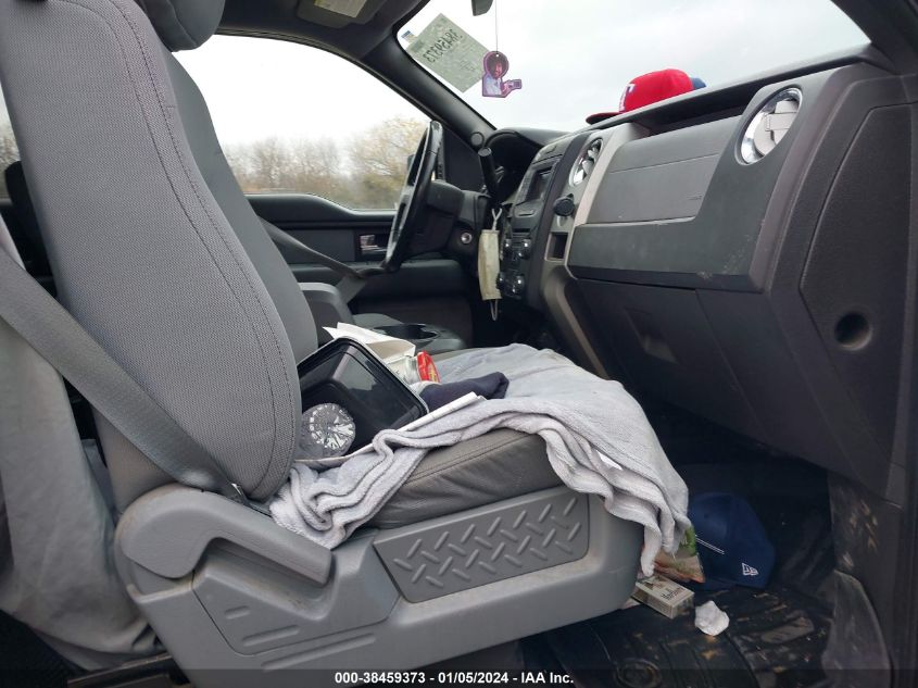 2013 FORD F-150 XLT - 1FTEW1CM8DKE19099