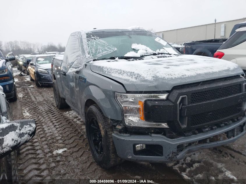 2019 FORD F-150 XL - 1FTMF1C5XKFA38803