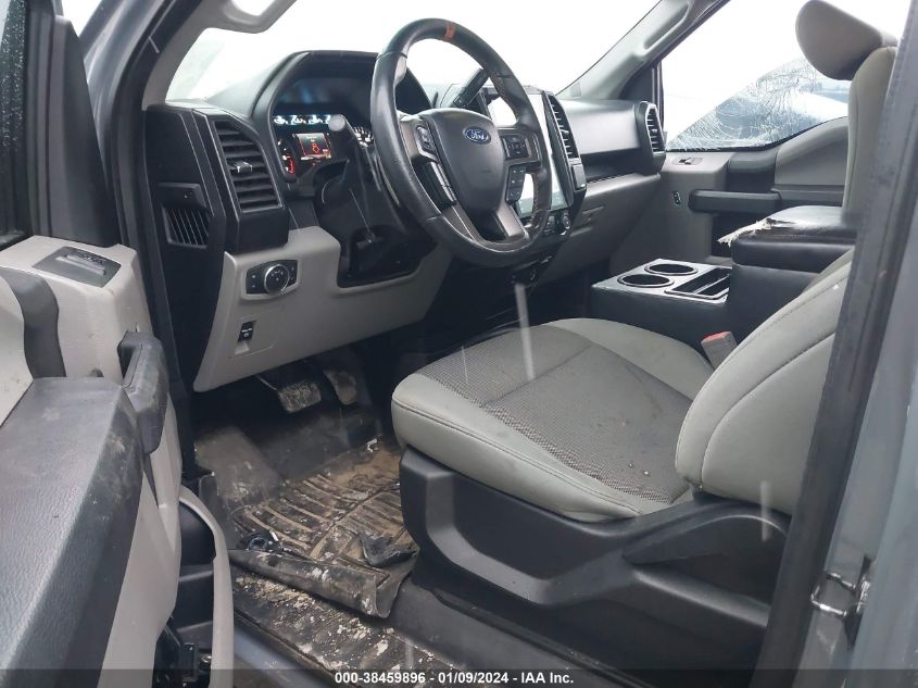 2019 FORD F-150 XL - 1FTMF1C5XKFA38803