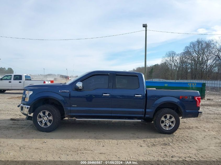 2016 FORD F-150 XLT - 1FTEW1EG6GKD20194