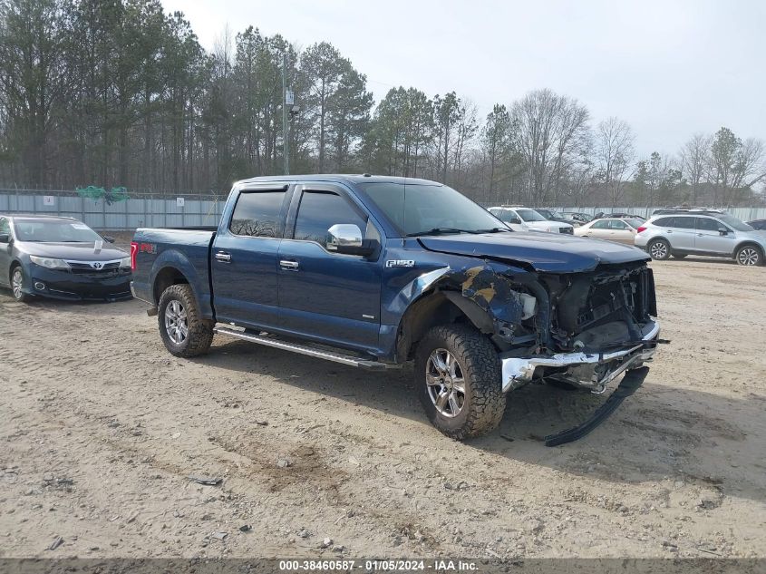 2016 FORD F-150 XLT - 1FTEW1EG6GKD20194