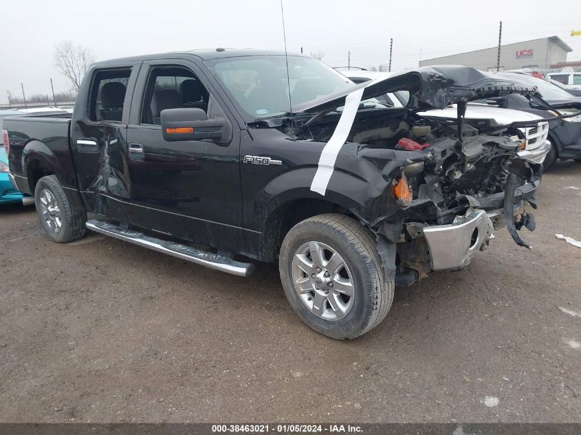 2013 FORD F-150 XLT - 1FTFW1CF7DKE22517