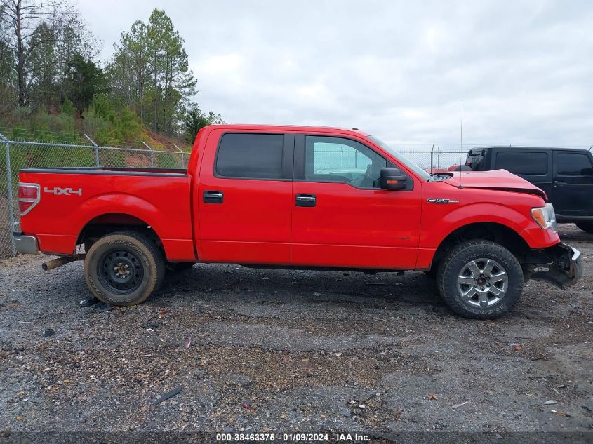 2013 FORD F-150 XLT - 1FTFW1ET4DKG26503