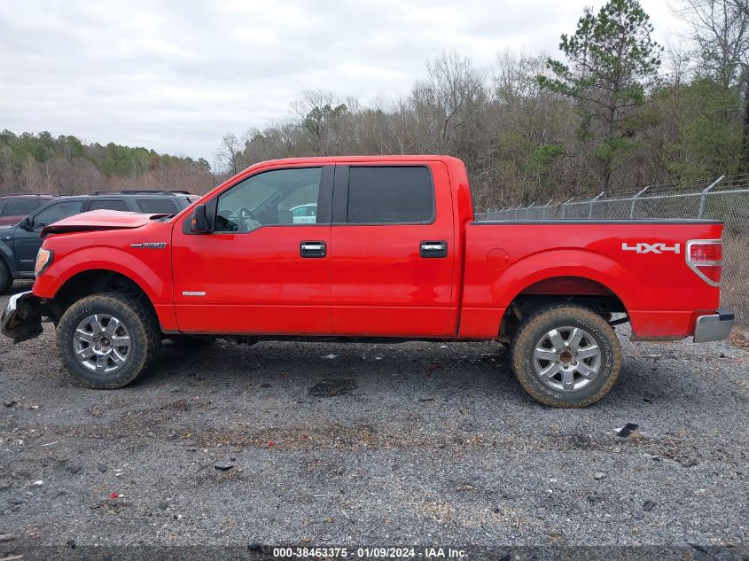 2013 FORD F-150 XLT - 1FTFW1ET4DKG26503