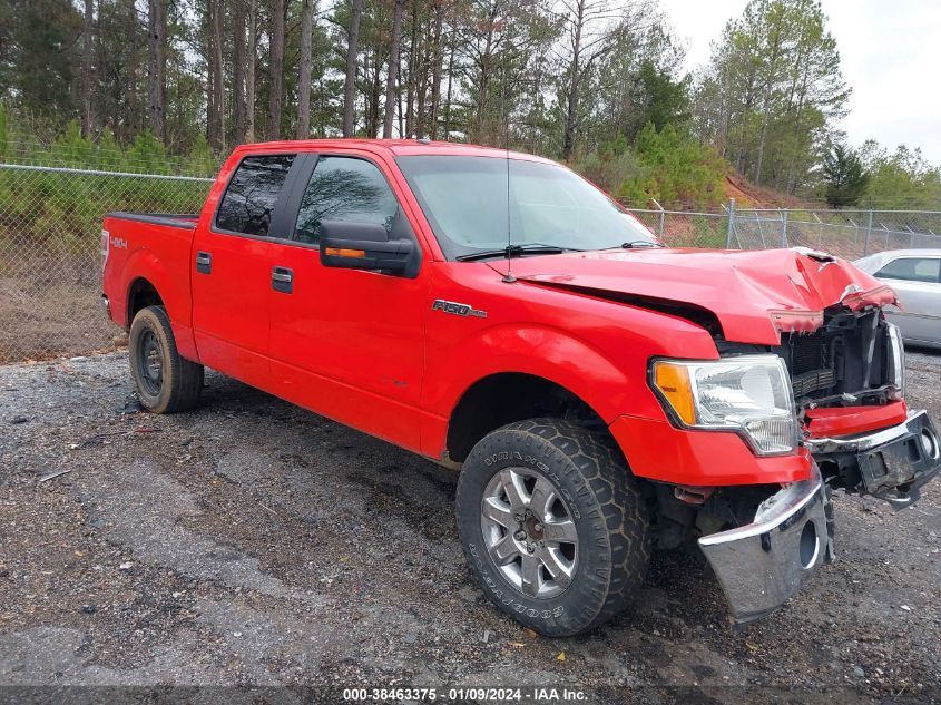 2013 FORD F-150 XLT - 1FTFW1ET4DKG26503