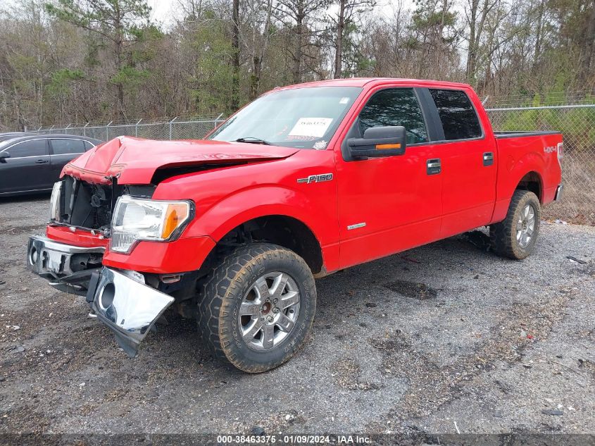 2013 FORD F-150 XLT - 1FTFW1ET4DKG26503