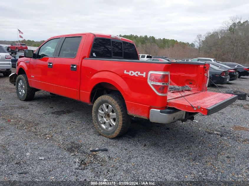 2013 FORD F-150 XLT - 1FTFW1ET4DKG26503