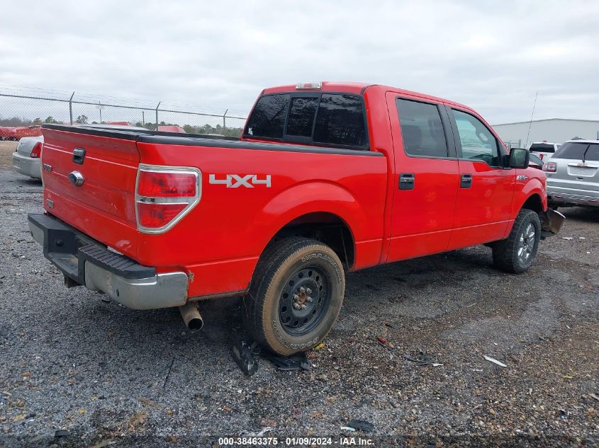 2013 FORD F-150 XLT - 1FTFW1ET4DKG26503