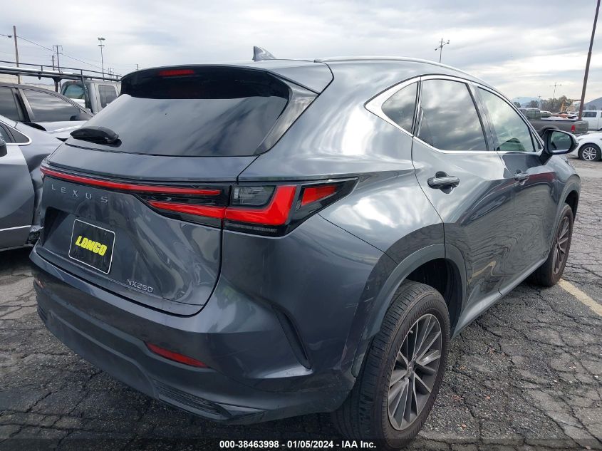 2022 LEXUS NX 250 JTJADCAZ6N2001072